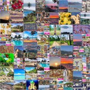 Welcome to MadeinMycountry! Celebrate and Support Local Culture with MadeinMycountry MadeinMycountry is a global platform that celebrates and supports local history, culture, art, and nature conservation efforts.